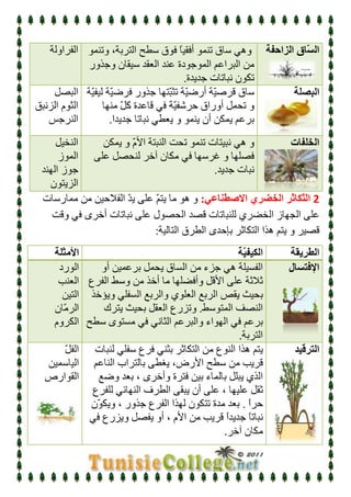 درس التكاثر عند النبات الزهري   علوم  الحياة و الأرض - الثامنة أساسي   الآنسة سارة 