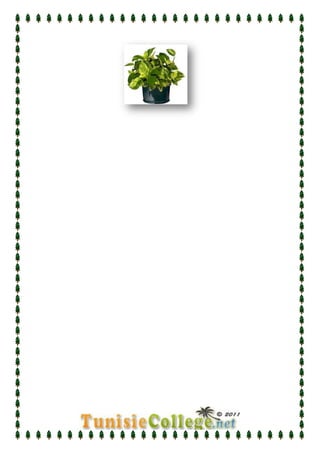 درس التكاثر عند النبات الزهري   علوم  الحياة و الأرض - الثامنة أساسي   الآنسة سارة 