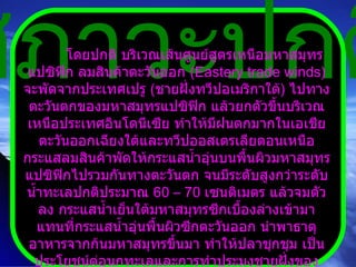 สภาวะปกติ โดยปกติ บริเวณเส้นศูนย์สูตรเหนือมหาสมุทรแปซิฟิก ลมสินค้าตะวันออก  ( Eastery trade winds )  จะพัดจากประเทศเปรู  ( ชายฝั่งทวีปอเมริกาใต้ )  ไปทางตะวันตกของมหาสมุทรแปซิฟิก แล้วยกตัวขึ้นบริเวณเหนือประเทศอินโดนีเซีย ทำให้มีฝนตกมากในเอเชียตะวันออกเฉียงใต้และทวีปออสเตรเลียตอนเหนือ กระแสลมสินค้าพัดให้กระแสน้ำอุ่นบนพื้นผิวมหาสมุทรแปซิฟิกไปรวมกันทางตะวันตก จนมีระดับสูงกว่าระดับน้ำทะเลปกติประมาณ  60 – 70   เซนติเมตร แล้วจมตัวลง กระแสน้ำเย็นใต้มหาสมุทรซีกเบื้องล่างเข้ามาแทนที่กระแสน้ำอุ่นพื้นผิวซีกตะวันออก นำพาธาตุอาหารจากก้นมหาสมุทรขึ้นมา ทำให้ปลาชุกชุม เป็นประโยชน์ต่อนกทะเลและการทำประมงชายฝั่งของประเทศเปรู  