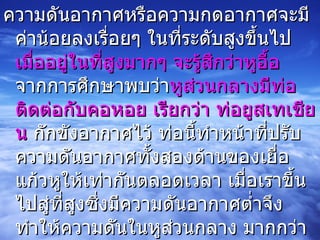 ความดันอากาศหรือความกดอากาศจะมีค่าน้อยลงเรื่อยๆ ในที่ระดับสูงขึ้นไป  เมื่ออยู่ในที่สูงมากๆ จะรู้สึกว่าหูอื้อ  จากการศึกษาพบว่า หูส่วนกลางมีท่อติดต่อกับคอหอย เรียกว่า ท่อยูสเทเชียน  กักขังอากาศไว้ ท่อนี้ทำหน้าที่ปรับความดันอากาศทั้งสองด้านของเยื่อแก้วหูให้เท่ากันตลอดเวลา เมื่อเราขึ้นไปสู่ที่สูงซึ่งมีความดันอากาศต่ำจึงทำให้ความดันในหูส่วนกลาง มากกว่าความดันอากาศภายนอก เป็นเหตุให้เยื่อแก้วหูขยายออก ทำให้ปวดหู ความดันที่ต่างกันนี้จะเท่ากันได้เมื่อทำให้อากาศส่วนหนึ่งออกไปจาก  ท่อยูสเทเชียน  