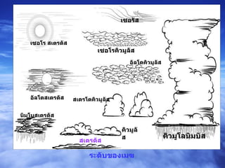 ระดับของเมฆ นิมโบสเตรตัส สเตรตัส อัลโตสเตรตัส สเตรโตคิวมูลัส คิวมูลัส คิวมูโลนิมบัส เซอโร สเตรตัส เซอรัส อัลโตคิวมูลัส เซอโรคิวมูลัส 