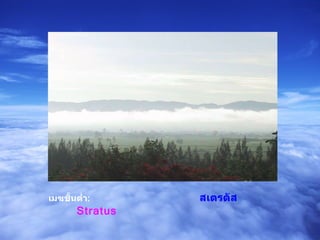 เมฆชั้นต่ำ :   สเตรตัส   Stratus 