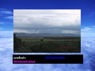 เมฆชั้นต่ำ :   นิมโบสเตรตัส  Nimbostratus  