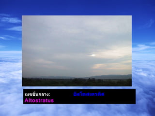 เมฆชั้นกลาง :   อัลโตสเตรตัส   Altostratus   