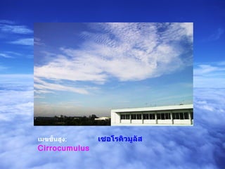 เมฆชั้นสูง :  เซอโรคิวมูลัส   Cirrocumulus 