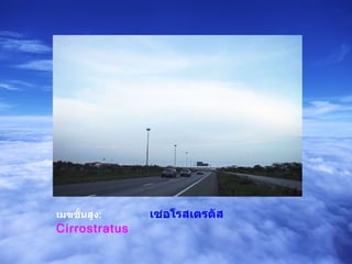 เมฆชั้นสูง :   เซอโรสเตรตัส   Cirrostratus  