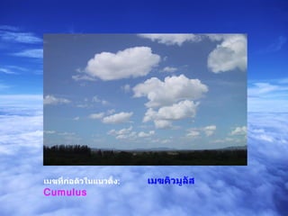 เมฆที่ก่อตัวในแนวตั้ง :   เมฆคิวมูลัส   Cumulus 