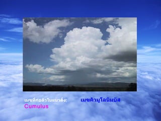 เมฆที่ก่อตัวในแนวตั้ง :   เมฆคิวมูโลนิมบัส   Cumulus 