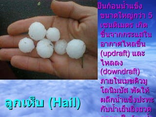 ลูกเห็บ  (Hail) เป็นก้อนน้ำแข็งขนาดใหญ่กว่า  5  เซนติเมตร เกิดขึ้นจากกระแสในอากาศไหลขึ้น  (updraft)  และไหลลง  (downdraft)  ภายในเมฆคิวมูโลนิมบัส พัดให้ผลึกน้ำแข็งปะทะกับน้ำเย็นยิ่งยวด กลายเป็นก้อนน้ำแข็งห่อหุ้มกันเป็นชั้นๆ จนมีขนาดใหญ่ และตกลงมา  