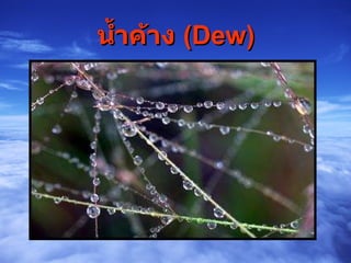 น้ำค้าง  (Dew)           