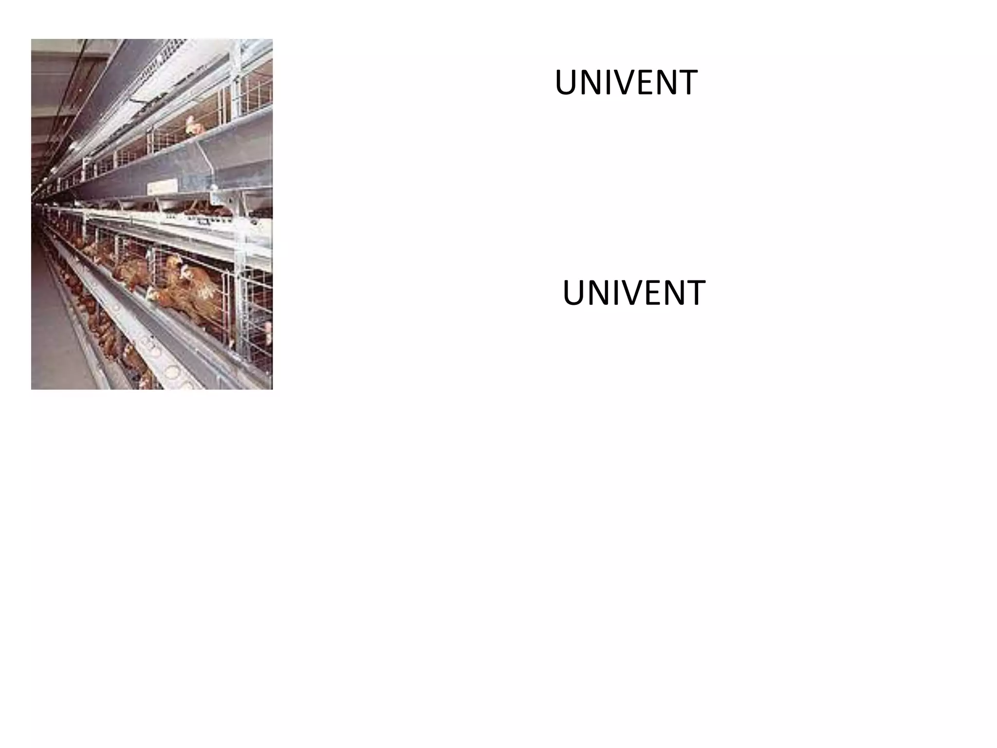 ระบบกรงไก่ไข่ UNIVENT เพื่อความปลอดภัยและการผลิตไข่อย่างมีประสิทธิผล ด้วยเทคนิคระบบการป้องกันด้วยลิฟต์ไข่ที่มีอายุการใช้งานที่ยาวนาน ระบบการทำงานที่เชื่อถือได้ และสภาวะที่เหมาะสมสำหรับไก่ และการทำงานของผู้เลี้ยงระบบกรงไก่ไข่ UNIVENT เพื่อความปลอดภัยและการผลิตไข่อย่างมีประสิทธิผล ด้วยเทคนิคระบบการป้องกันด้วยลิฟต์ไข่ที่มีอายุการใช้งานที่ยาวนาน ระบบการทำงานที่เชื่อถือได้ และสภาวะที่เหมาะสมสำหรับไก่ และการทำงานของผู้เลี้ยง