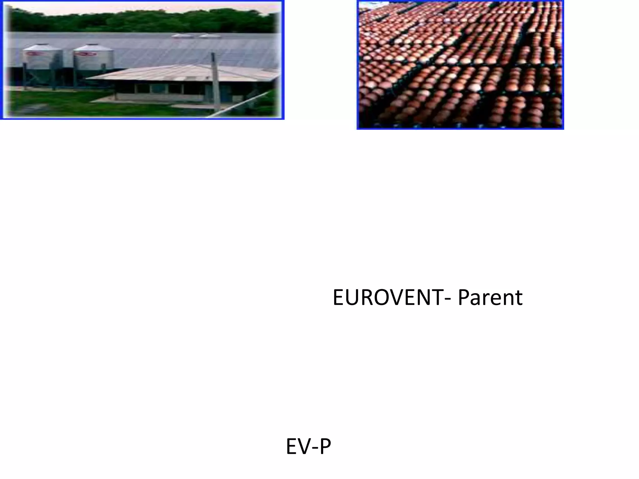 ระบบเก็บรวบรวมไข่โดยลิฟต์นั้นเป็นระบบที่รวบรวมไข่จากแถวกรงทั้งหมดของแต่ละชั้นในเวลาเดียวกัน ลักษณะพิเศษของลิฟต์คือ สายพานเคลื่อนย้ายไปแต่ละชั้นเพื่อทำการเก็บไข่ หลังจากที่ทำงานเรียบร้อยแล้วนั้น ลิฟต์ก็จะถูกยกกลับไปยังที่จอดเพื่อที่จะสามารถเข้าถึงแถวกรงทั้งหมดได้อย่างง่ายดายระบบระบายอากาศของ EUROVENT- Parent สายพานแบตเตอร์รี่ขนย้ายมูลไก่ ที่ออกแบบมาเป็นพิเศษสำหรับโรงเรือน พ่อพันธุ์ แม่พันธุ์ไก่ไข่ ที่สามารถจุไก่ได้เป็นจำนวนมาก แต่ละกรงจะสูงถึง 2.4 เมตรและลึก 60 เซนติเมตร ลักษณะทั่วไปของ EV-P คือ แม่ไก่จะมีสุขภาพที่ดีเต็มไปด้วยชีวิตชีวา และไข่ฟักที่สะอาด