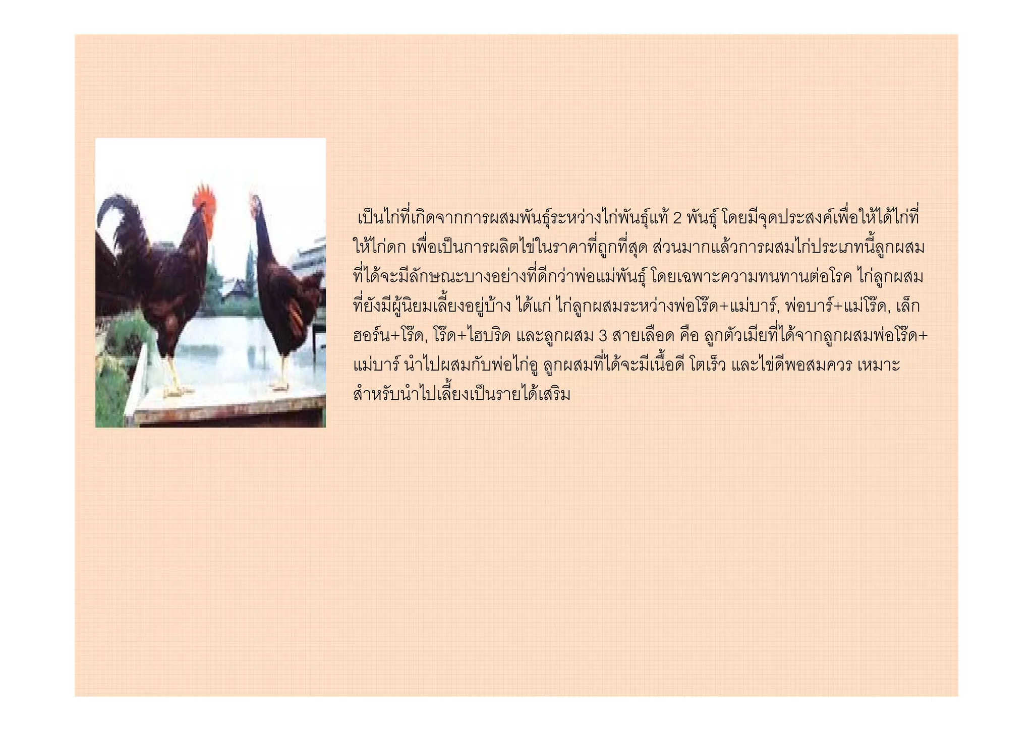 กF ก กก              F F กF         F F2 F                  F    F F กF
F กF ก       ก        F        ก           F  ก Fก             กF        ก
   F     ก         F      กF F F     F                            F กF ก
       F       F F   F กF กF ก           F   F F + F       F, F F+ F F , ก
  F + F , F +              ก 3                   ก            F ก ก     F F +
 F F          ก F กF ก           F                     F
                        F
 