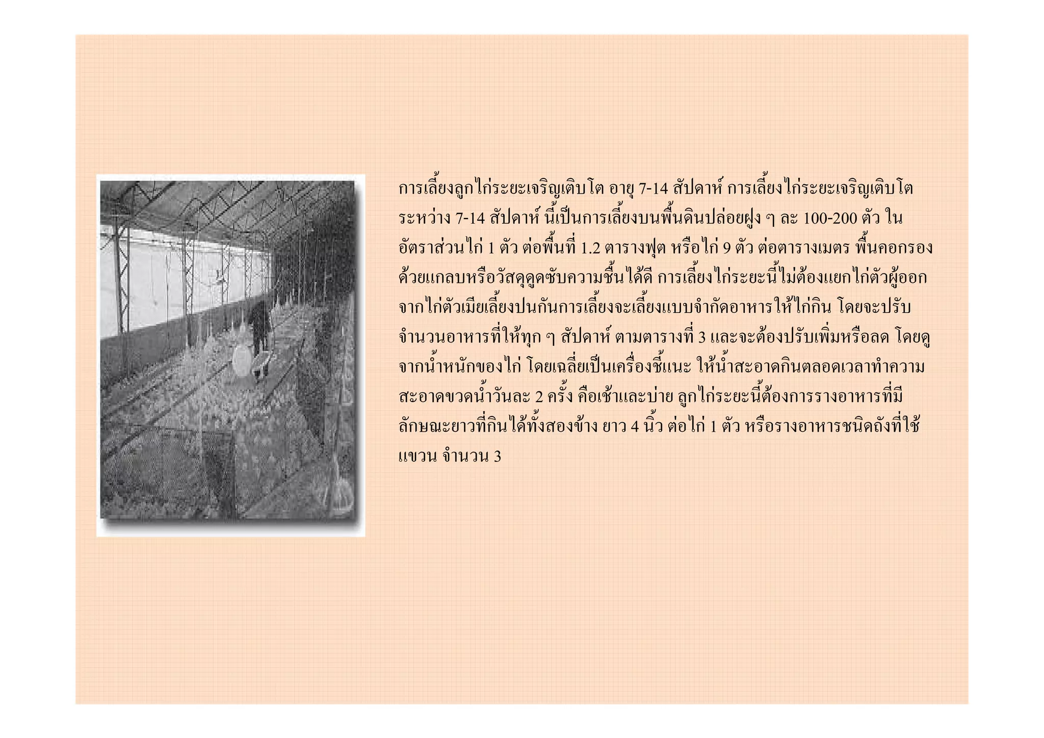 ก           ก กF                        7-14          Fก             กF
       F 7-14          F   ก                           F                  100-200
          F กF 1   F       1.2                     กF 9        F                    ก
    F ก                                 F ก           กF              F F ก กF      F ก
     ก กF         ก ก                              ก                 F กFก
               F ก               F             3           F
    ก      ก กF                                  F                   ก
                 2                   F   F ก กF                    F ก
ก           ก F       F                4   F กF 1                                     F
             3
 