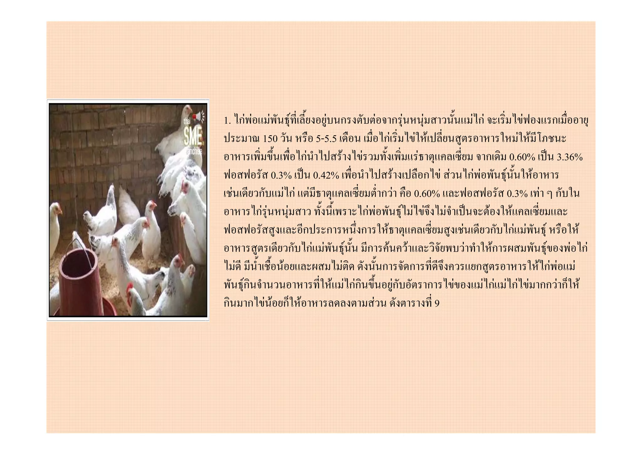 1. กF F    F F          F ก            F        กF   F            F กF          F        ก
          150         5-5.5                กF        F F                           F F
                   กF       F F                       F              ก          0.60% 3.36%
            0.3% 0.42%                          F       ก F F กF F          F          F
 F      ก F กF F                           ก F 0.60%                           0.3% F ก
        กF F F                    กF F            F F F F             F          F
                   ก ก           ก          F                 F         ก      กF F F             F
                 ก กF F F          ก          F F               F       ก
                                                                        F                  F    F กF
   F           F             F             ก ก                    ก                      F กF F F
     Fก                   F F กFก              Fก        ก F        F กF      F กF F กก F ก F
ก ก F F ก F                          F                    9
 