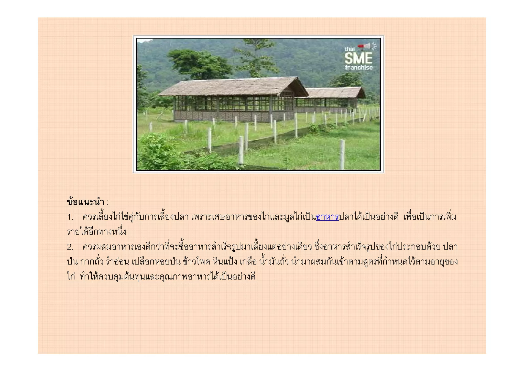 F            :
1.                กF F Fก ก                    กF         กF           F   F             ก
      Fก
2.                            กF                    F F                        กF   ก    F
     กก           F           ก    F       ก                   ก   F       ก         F
กF        F           F                F   F
 