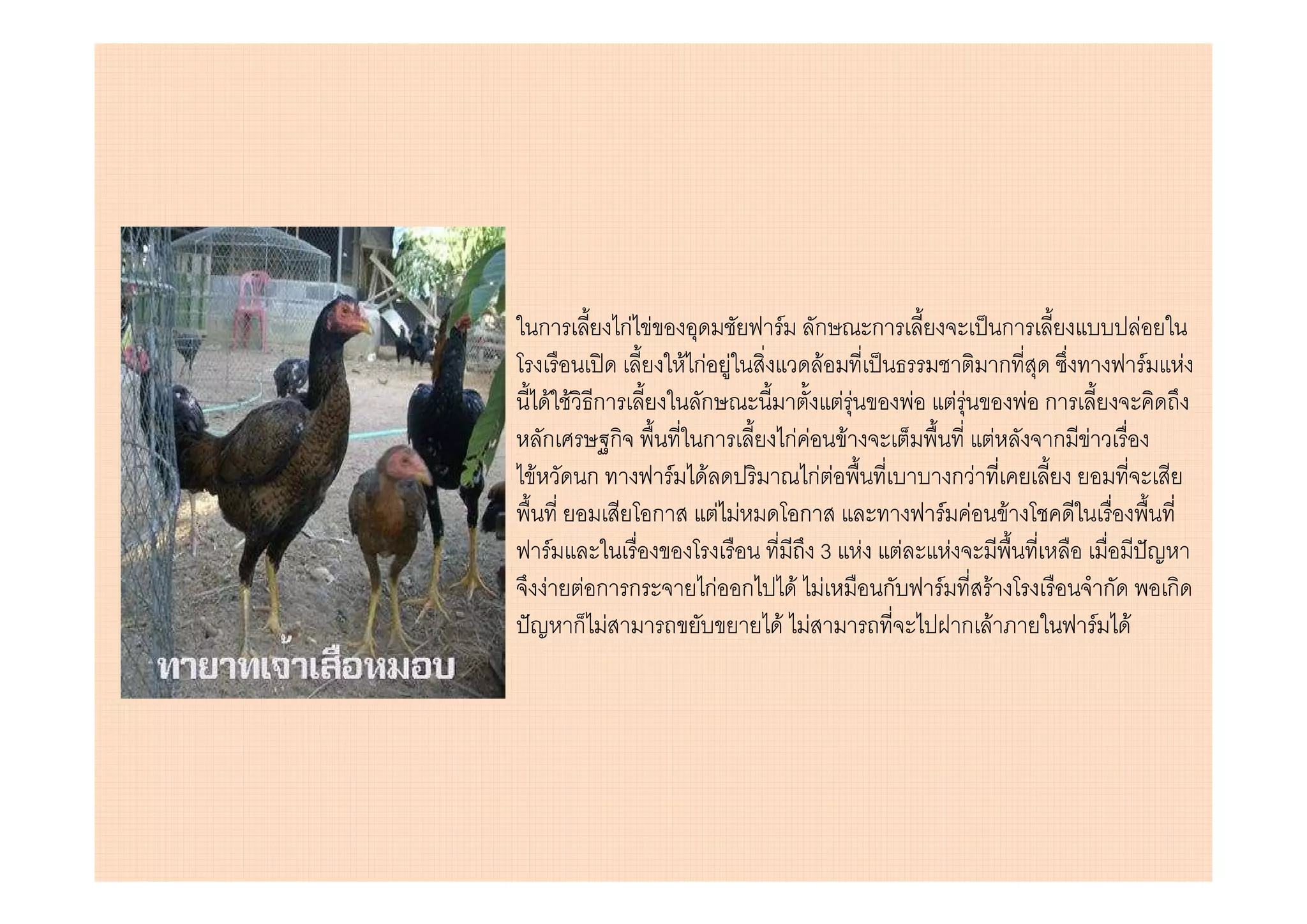 ก       กF F             F   ก    ก            ก             F
               F กF F         F                ก               F F
   F F ก          ก              FF   F FF          F ก
  ก       ก       ก      กF F F                   F    ก F
F      ก      F F           กF F             กF
            ก       F F    ก              F F F
    F                         3 F F        F
  F Fก ก          กF ก F F          ก   F       F           ก    ก
      ก F               F F                  ก F           F F
 