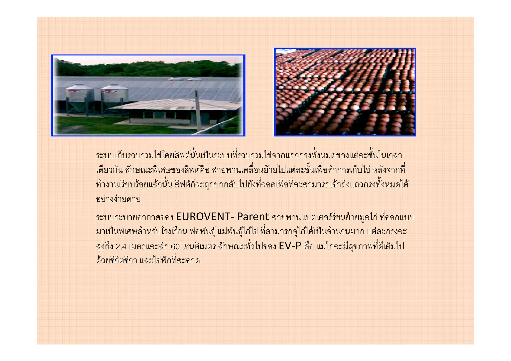 ก                 F    F                       F ก       ก                    F
     ก ก                              F          F         F                  ก ก           F   ก
            F       F            Fก       ก กก                            F             ก           F
    F F
                ก            EUROVENT- Parent                         F        F          กF ก
                                F  F F F กF F     กF F                                  ก F ก
      2.4                 ก 60       ก        EV-P                 F กF
F                       F ก
 