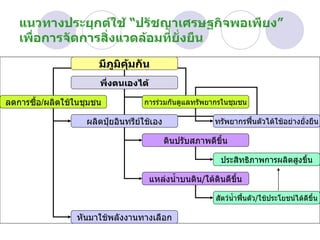 แนวทางประยุกต์ใช้ “ปรัชญาเศรษฐกิจพอเพียง”  เพื่อการจัดการสิ่งแวดล้อมที่ยั่งยืน มีภูมิคุ้มกัน พึ่งตนเองได้ ลดการซื้อ / ผลิตใช้ในชุมชน ผลิตปุ๋ยอินทรีย์ใช้เอง ดินปรับสภาพดีขึ้น ประสิทธิภาพการผลิตสูงขึ้น แหล่งน้ำบนดิน / ใต้ดินดีขึ้น สัตว์น้ำฟื้นตัว / ใช้ประโยชน์ได้ดีขึ้น การร่วมกันดูแลทรัพยากรในชุมชน ทรัพยากรฟื้นตัวได้ใช้อย่างยั่งยืน หันมาใช้พลังงานทางเลือก 