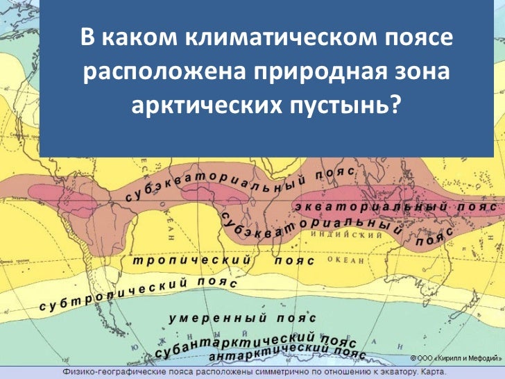 Какой климатический пояс в арктических пустынях