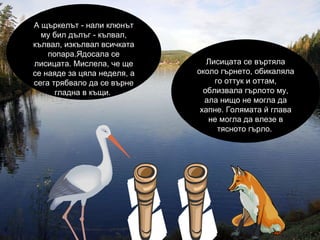 Лисицата се въртяла около гърнето, обикаляла го оттук и оттам, облизвала гърлото му, ала нищо не могла да хапне. Голямата й глава не м o гла да влезе в тясното гърло.  А щъркелът - нали клюнът му бил дълъг - кълвал, кълвал, изкълвал всичката попара.Ядосала се лисицата. Мислела, че ще се наяде за цяла неделя, а сега трябвало да се върне гладна в къщи.  