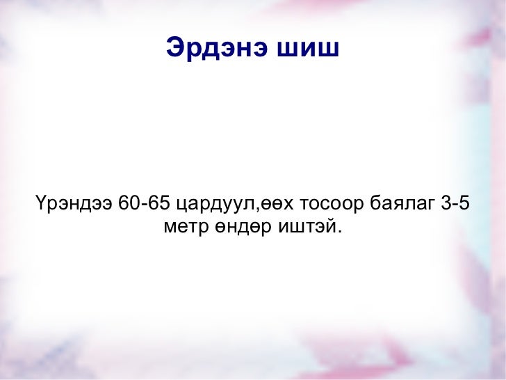 үр тарианы ургамал