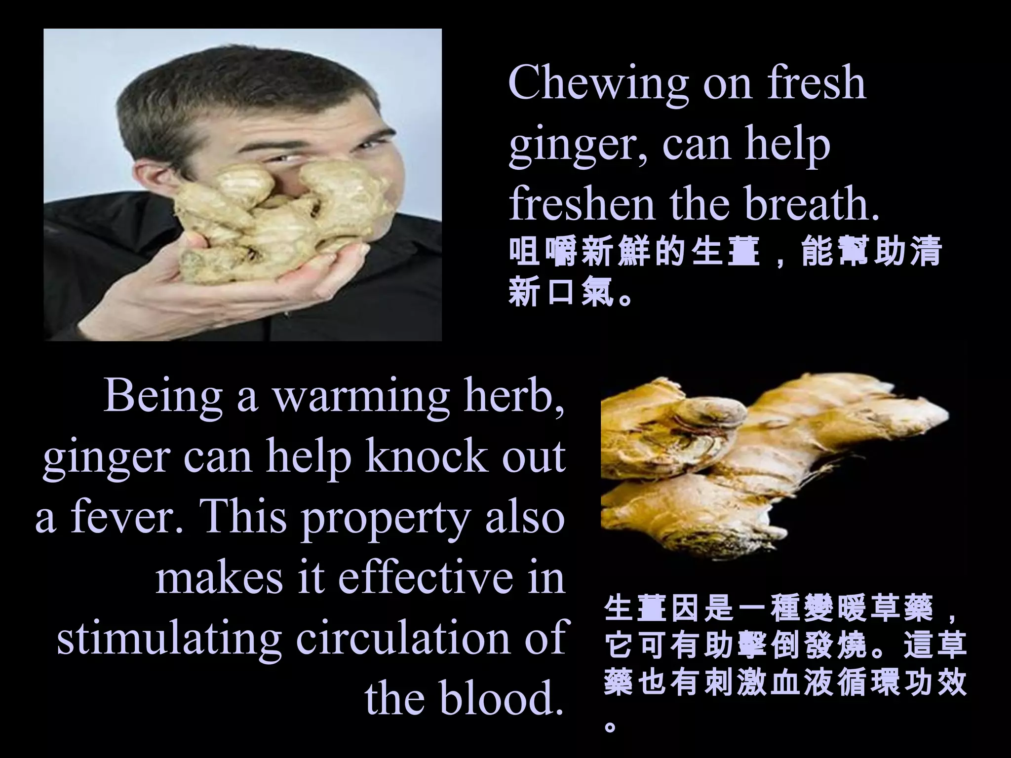 Chewing on fresh ginger,   can help freshen the breath. 咀嚼新鮮的生薑，能幫助清新口氣。 Being a warming herb, ginger can help knock out a fever. This property also makes it effective in stimulating circulation of the blood. 生薑因是一種變暖草藥，它可有助擊倒發燒。這草藥也有刺激血液循環功效。 
