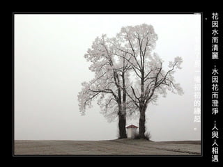 花因水而清麗，水因花而澄淨，人與人相遇， 不就只是為了那一場初初的緣起。 