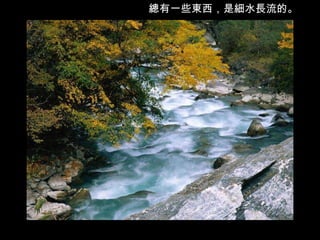 總有一些東西，是細水長流的。 