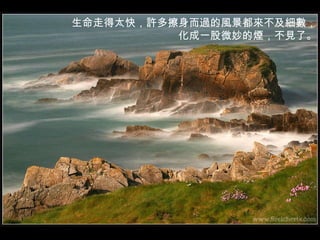 生命走得太快，許多擦身而過的風景都來不及細數， 化成一股微妙的煙，不見了。 