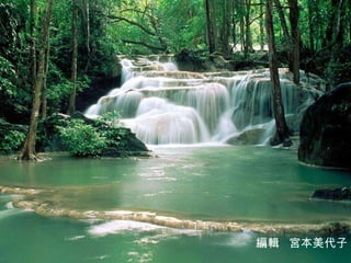 編輯  宮本美代子 