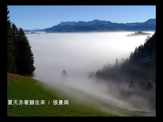 夏天赤著腳走來  /  張曼娟 