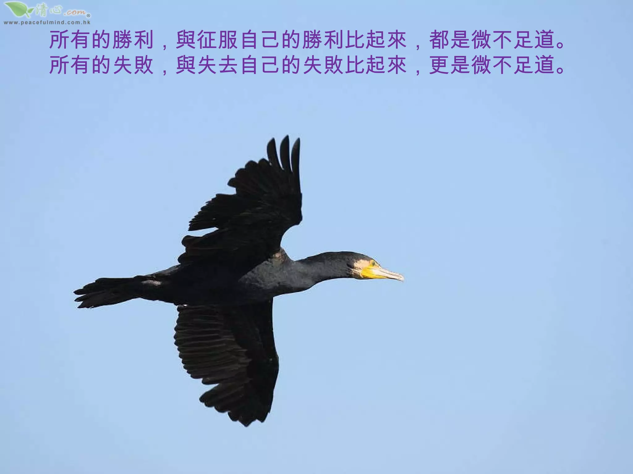 所有的勝利，與征服自己的勝利比起來，都是微不足道。 所有的失敗，與失去自己的失敗比起來，更是微不足道。 