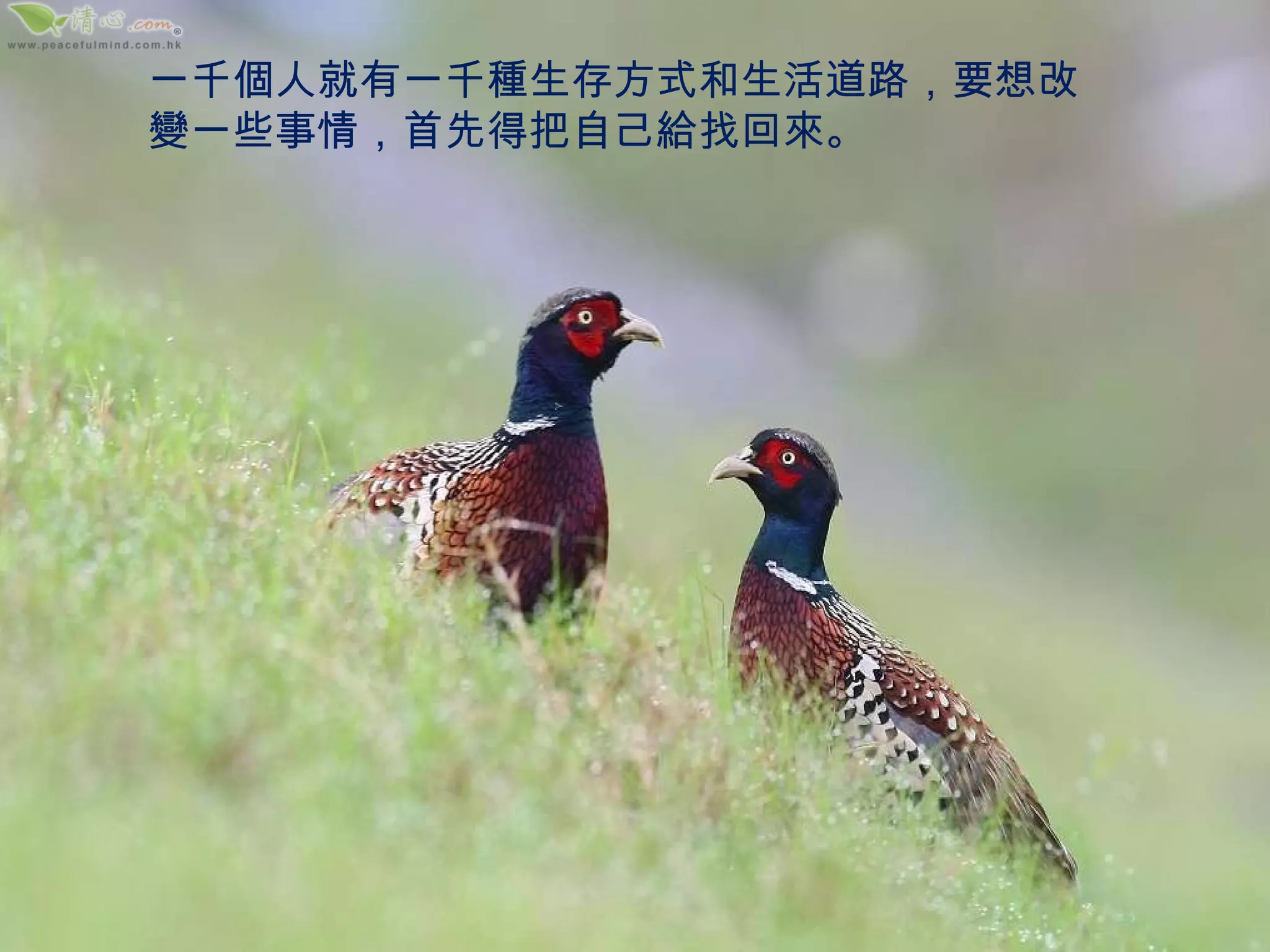 一千個人就有一千種生存方式和生活道路，要想改變一些事情，首先得把自己給找回來。 