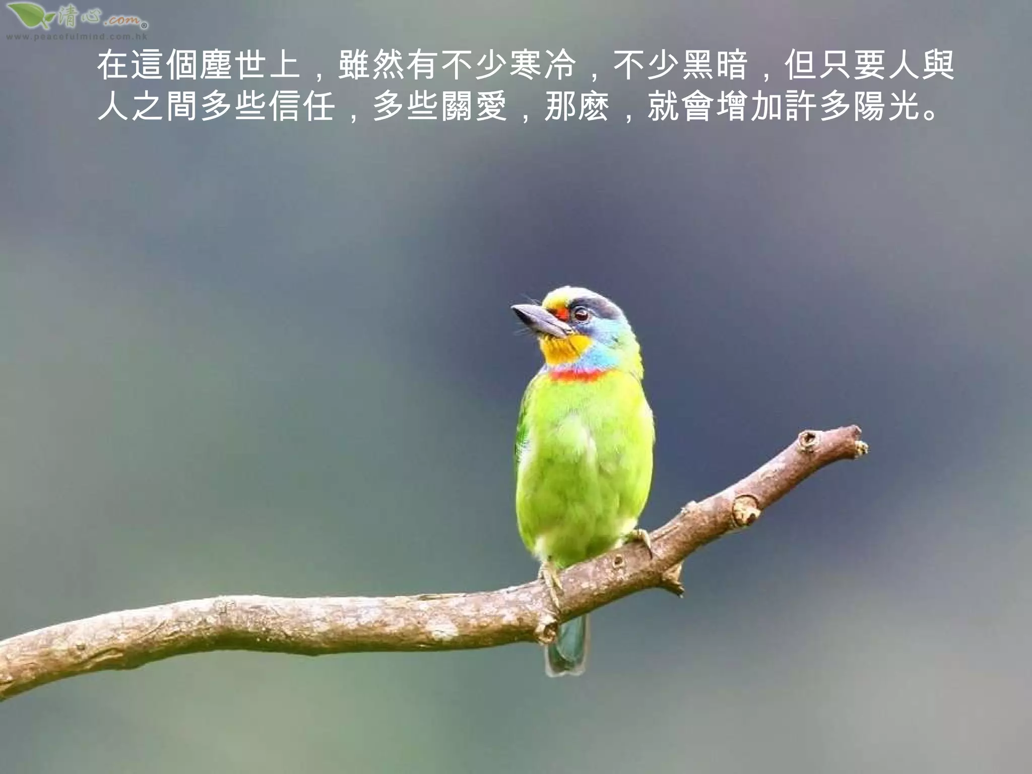 在這個塵世上，雖然有不少寒冷，不少黑暗，但只要人與人之間多些信任，多些關愛，那麽，就會增加許多陽光。 