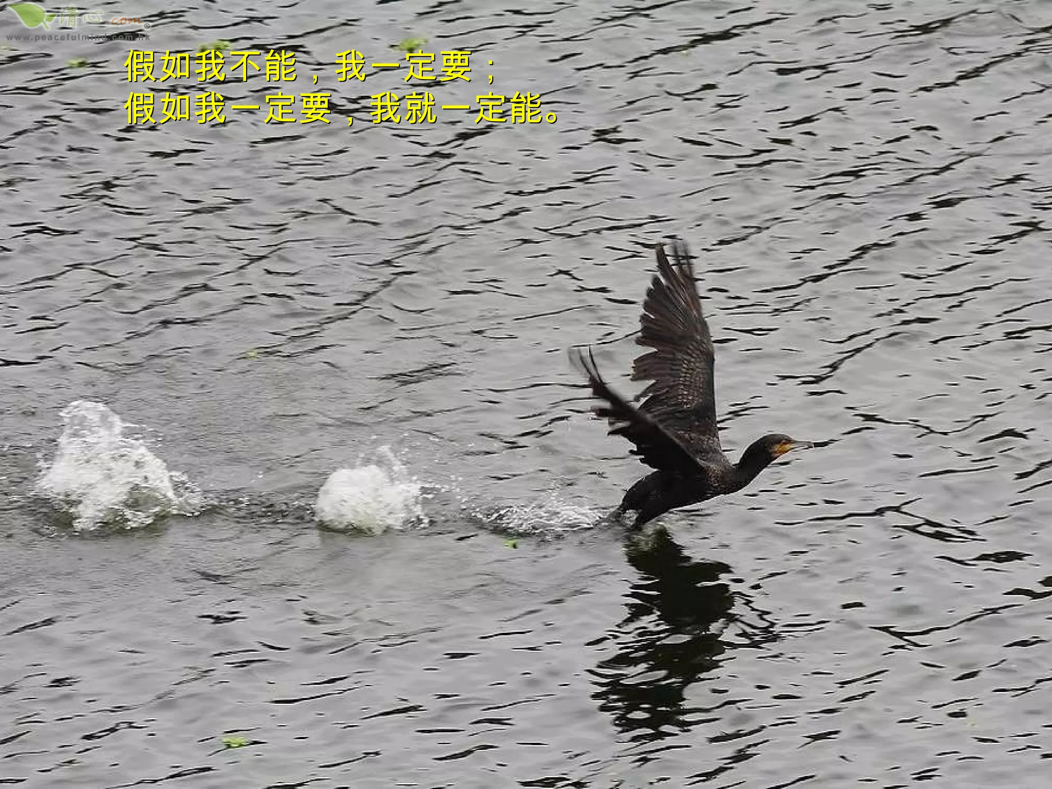 假如我不能，我一定要； 假如我一定要，我就一定能。 
