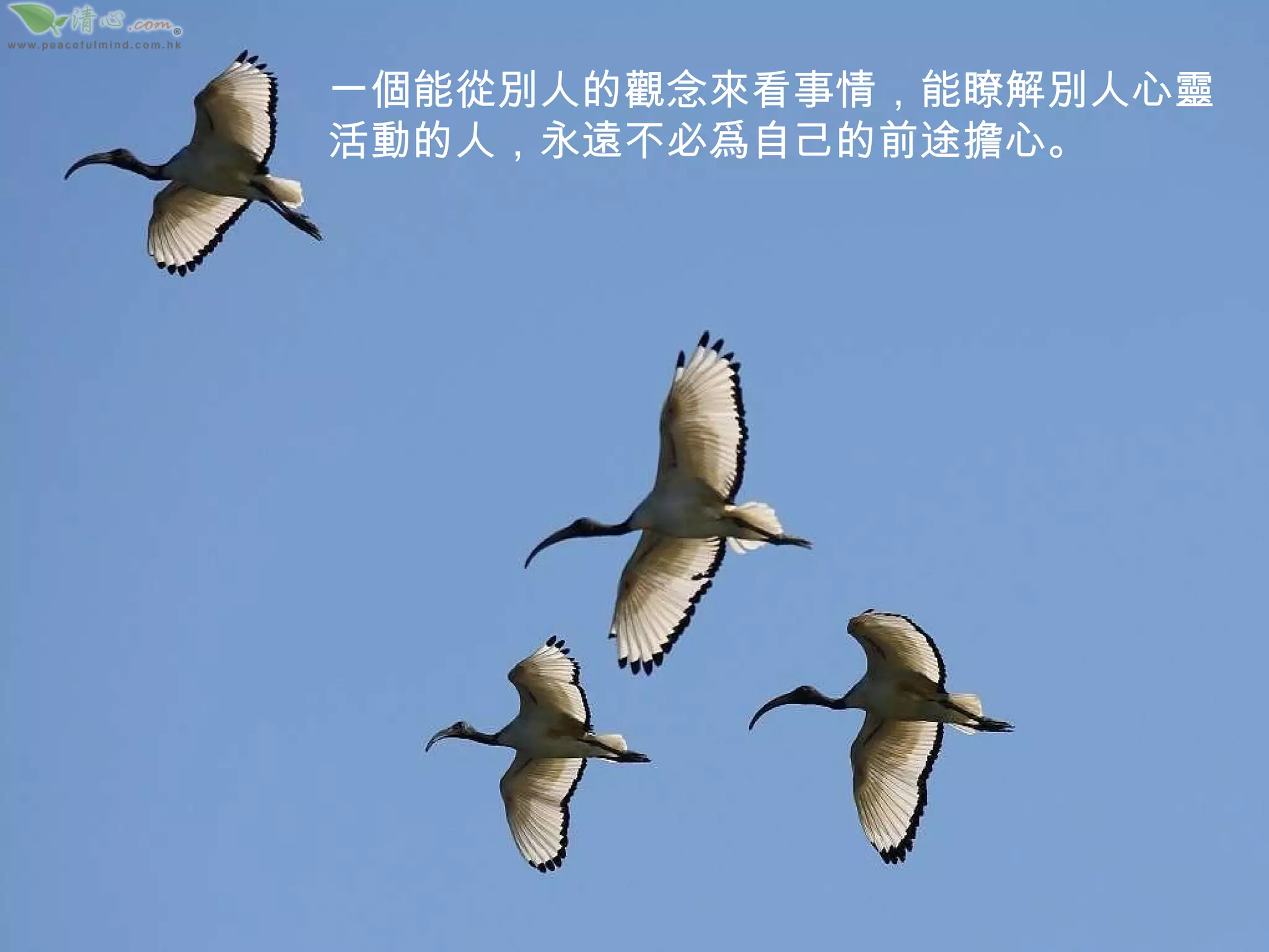 一個能從別人的觀念來看事情，能瞭解別人心靈活動的人，永遠不必爲自己的前途擔心。 