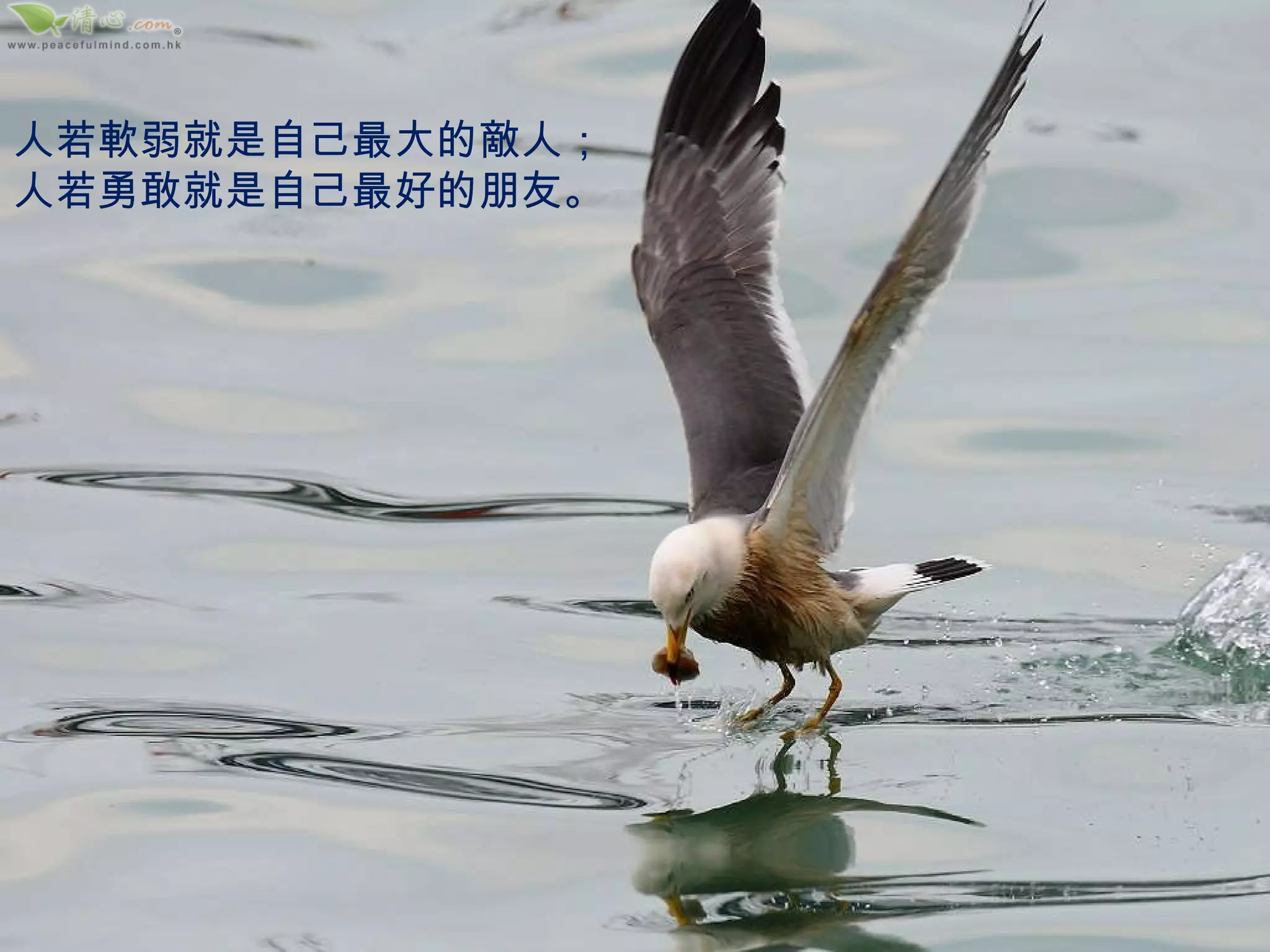 人若軟弱就是自己最大的敵人；人若勇敢就是自己最好的朋友。 