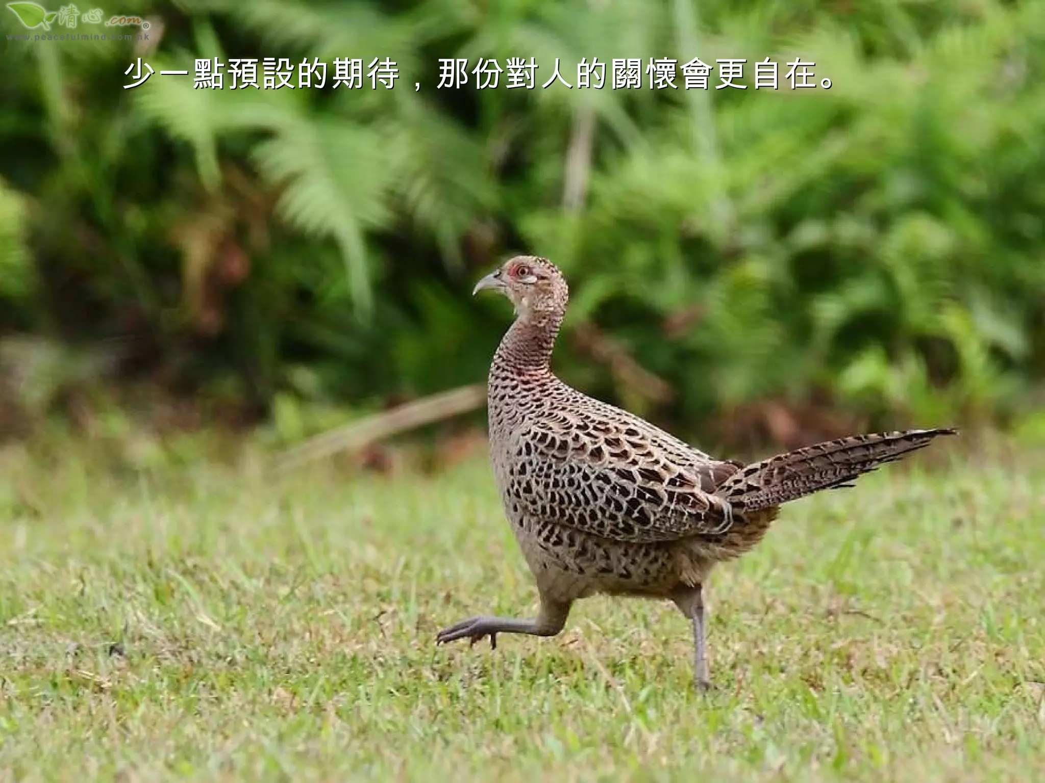 少一點預設的期待，那份對人的關懷會更自在。 