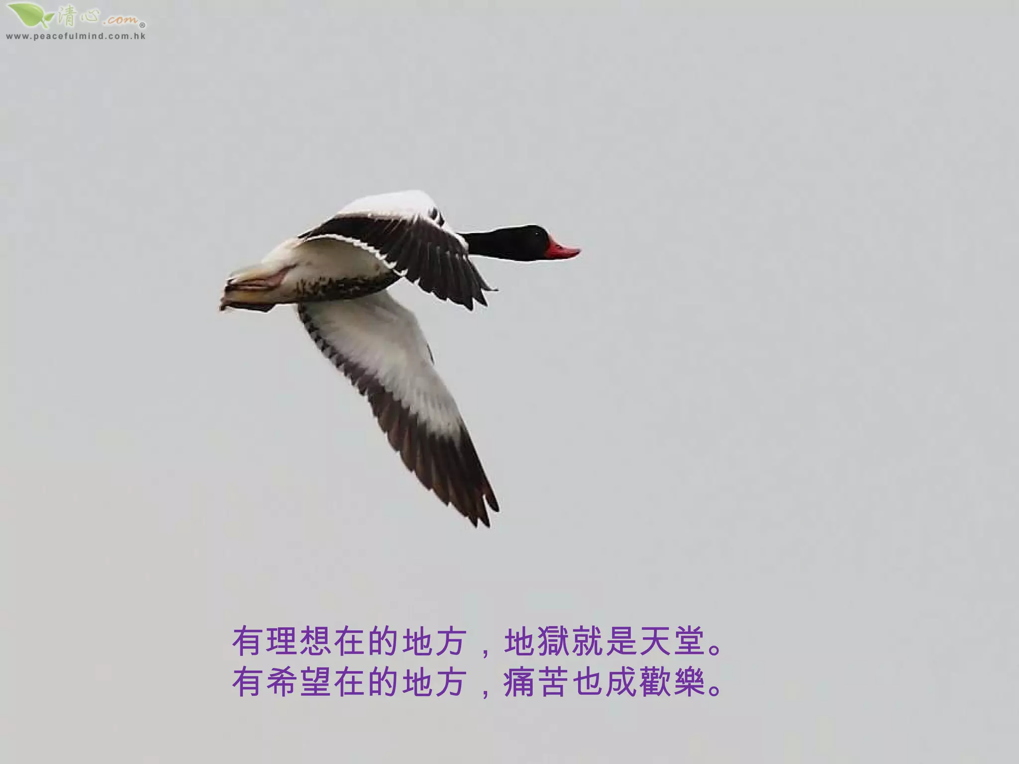 有理想在的地方，地獄就是天堂。 有希望在的地方，痛苦也成歡樂。 