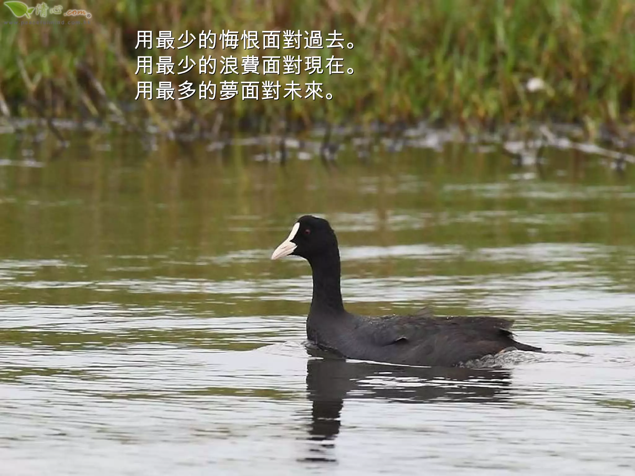 用最少的悔恨面對過去。 用最少的浪費面對現在。 用最多的夢面對未來。 
