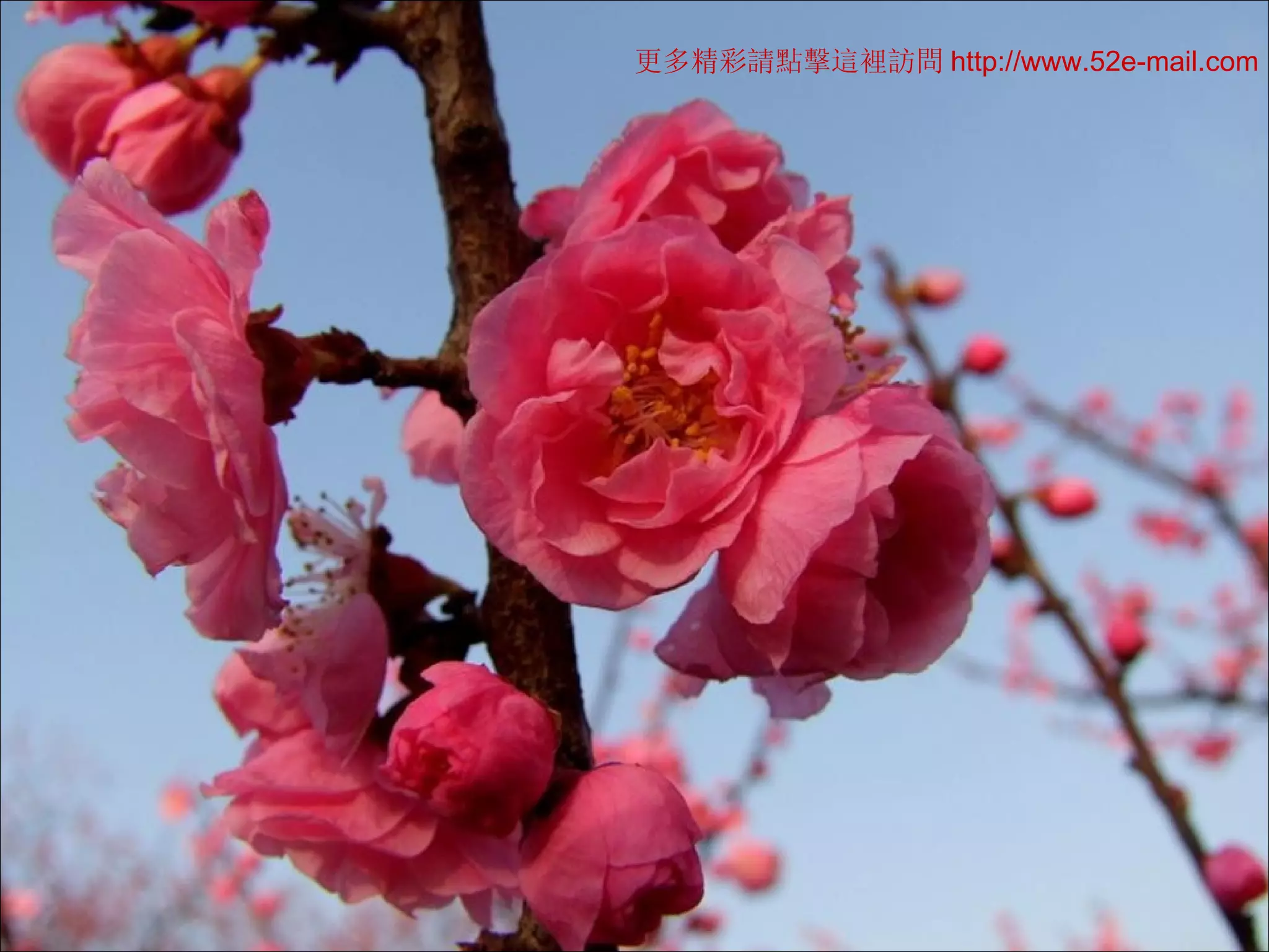 更多精彩 請點擊這裡訪問 http://www.52e-mail.com 