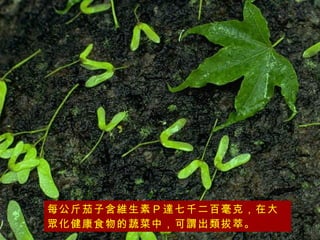 每公斤茄子含維生素Ｐ達七千二百毫克，在大眾化健康食物的蔬菜中，可謂出類拔萃。   