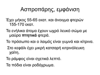 Σήμερα φωλιάζει μόνο στην ηπειρωτική Ελλάδα και κυρίως στην Ήπειρο , στη Θεσσαλία , στη Μακεδονία και τη Θράκη με πληθυσμό που δεν ξεπερνάει τα 250 ζευγάρια  