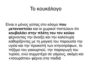 Στο κεφάλι έχει μικρή κατσαρή κιτρινόλευκη χαίτη.  