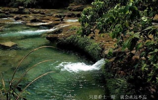 只要看上一眼  就会永远不忘 