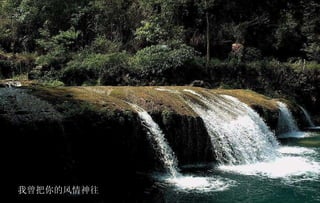 我曾把你的风情神往 