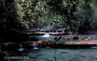 还是钦佩你如此豪放 