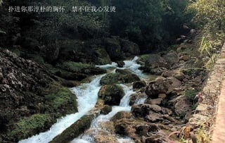 扑进你那淳朴的胸怀  禁不住我心发烫 