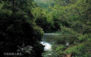 笙歌鼓舞入梦乡 